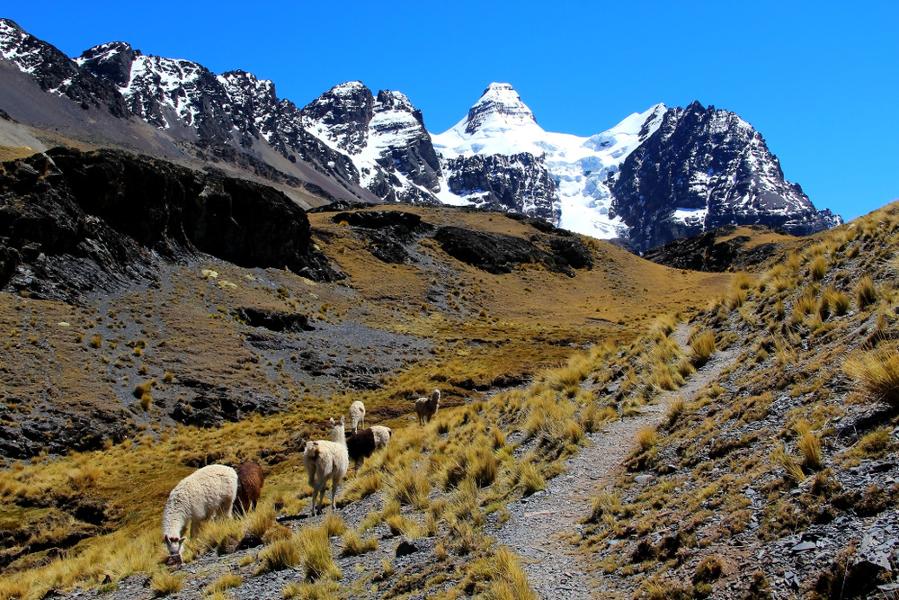 Les 4 zones de treks en Bolivie